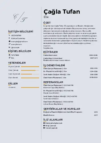 Ebe Cv Örnekleri cv indir